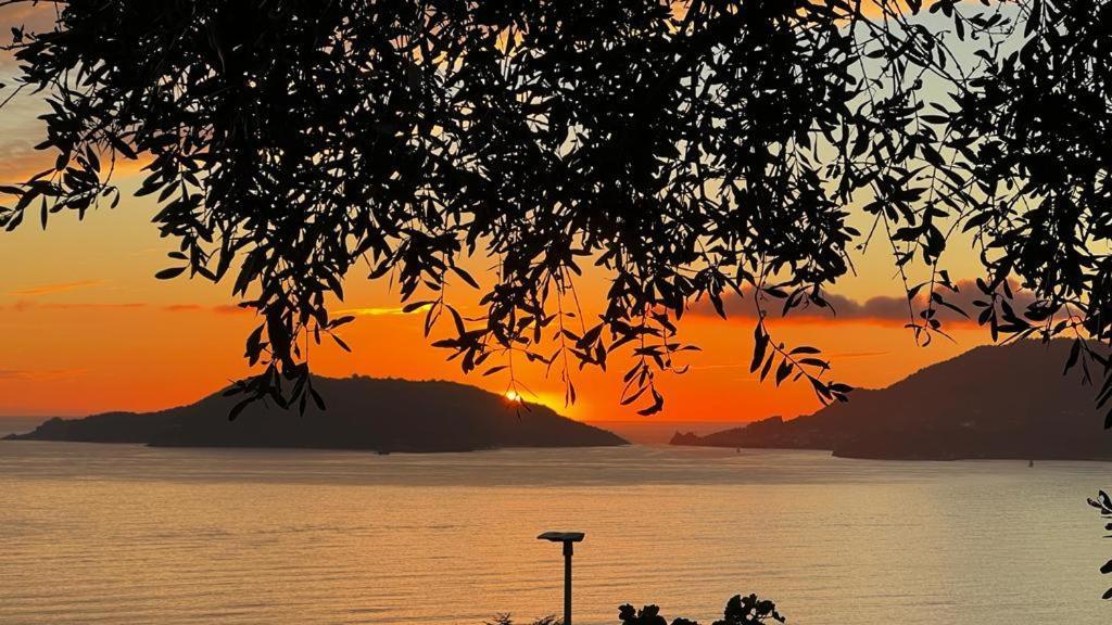 B&B Camera Bellavista Lerici Dış mekan fotoğraf